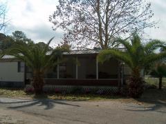 11100 Sycamore Ln in Leesburg, FL - Building Photo