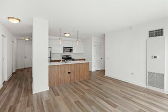 350 N Orleans St in Chicago, IL - Building Photo - Building Photo