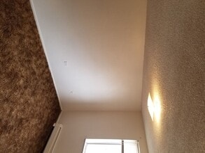 Campus Park Apartments in Greeley, CO - Building Photo - Building Photo