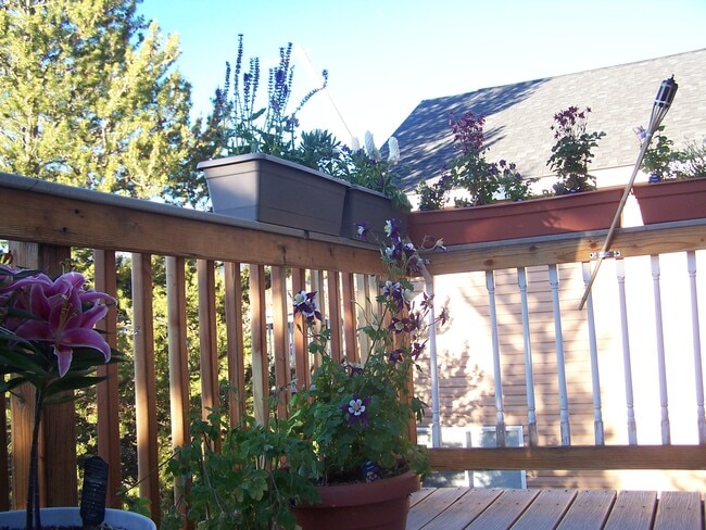 116 Brooklyn Cir in Leadville, CO - Building Photo - Building Photo