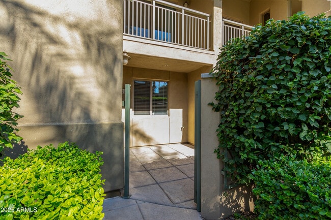 815 E Rose Ln in Phoenix, AZ - Building Photo - Building Photo