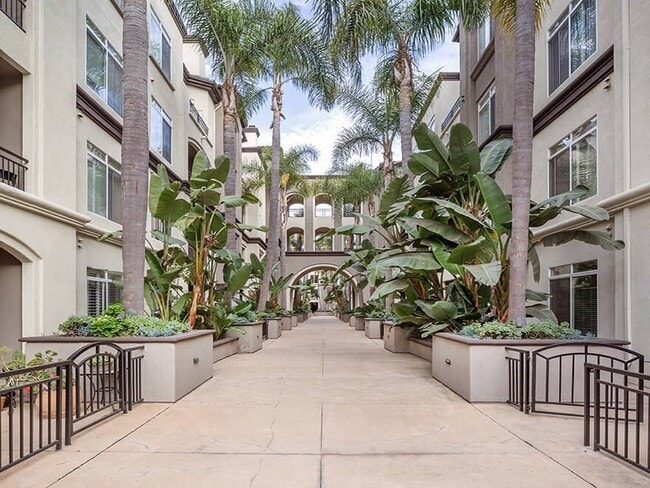 4155 Executive Dr, Unit 204 in La Jolla, CA - Building Photo - Building Photo