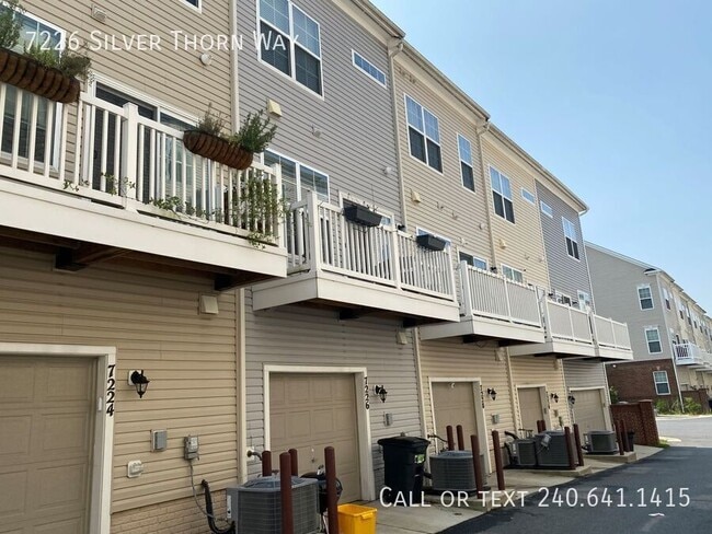 7226 Silver Thorn Way in Beltsville, MD - Building Photo - Building Photo