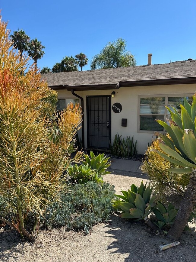 2501-2505 Juan St in San Diego, CA - Building Photo - Building Photo