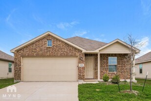 14356 Cloudview Way in Haslet, TX - Building Photo