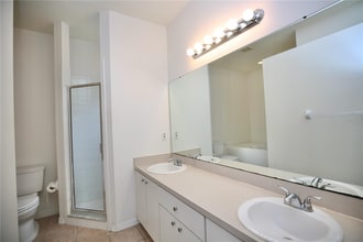 24421 Breezy Oak Ct in Lutz, FL - Foto de edificio - Building Photo