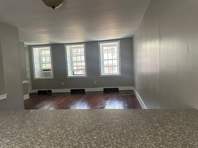 308 Delancey St in Philadelphia, PA - Building Photo - Building Photo