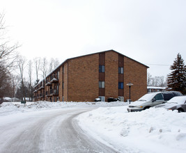 Brandywine Apartments in Youngstown, OH - Building Photo - Building Photo