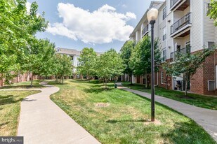 21210 McFadden Square