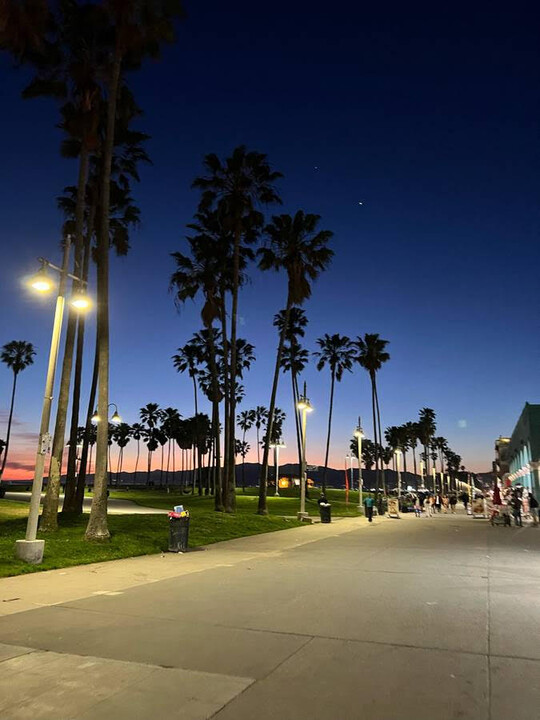 1101 Ocean Front Walk in Venice, CA - Foto de edificio