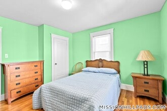 155-157 Hillside St. in Boston, MA - Building Photo - Building Photo