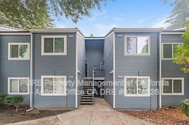 2826 Winding Ln in Antioch, CA - Building Photo - Building Photo