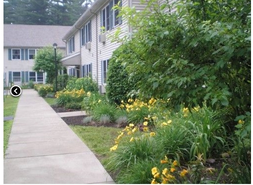 Ballston Pines in Ballston Spa, NY - Foto de edificio - Building Photo