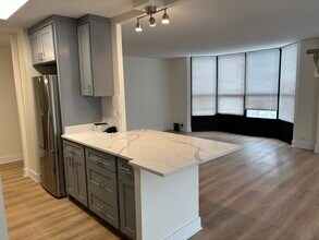 901 S Plymouth Ct, Unit 1402 in Chicago, IL - Building Photo - Building Photo