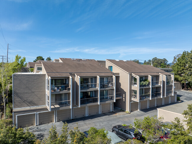 1685 Bayridge Way in San Mateo, CA - Building Photo - Building Photo