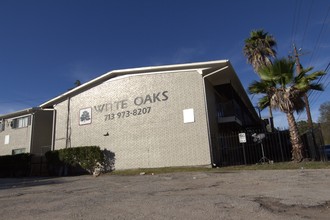 Witte Oaks Apartments in Houston, TX - Foto de edificio - Building Photo