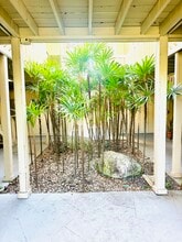 2200 Bahia Vista St, Unit B3 in Sarasota, FL - Building Photo - Building Photo