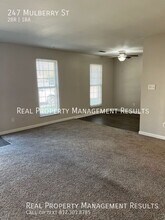 247 Mulberry St in Evansville, IN - Foto de edificio - Building Photo