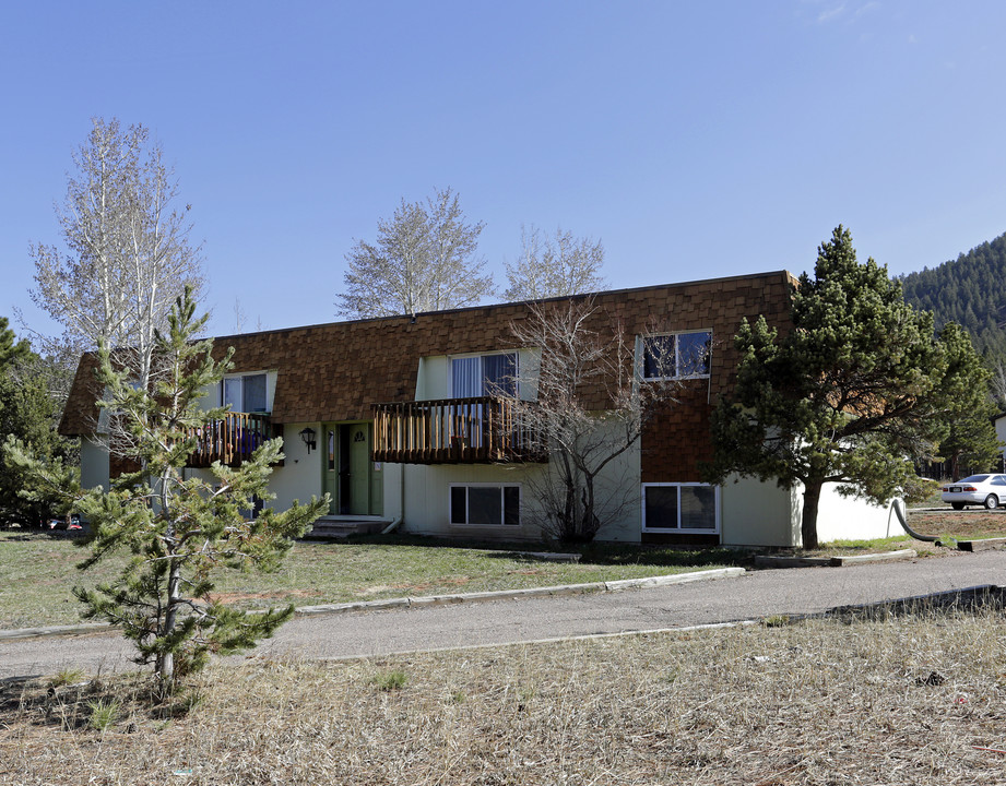 407 Mountainview Pl in Woodland Park, CO - Foto de edificio
