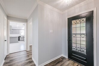 20506 Park Pine Ln in Katy, TX - Building Photo - Building Photo