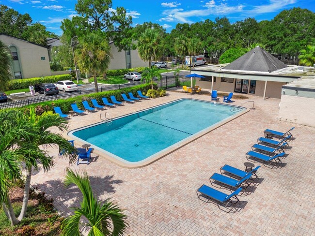 Oasis at Bayside in Largo, FL - Building Photo - Building Photo