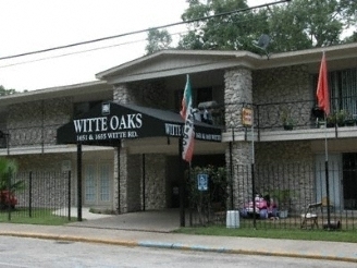 Witte Oaks Apartments in Houston, TX - Building Photo