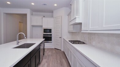 5311 Birch Shadow Dr in Fulshear, TX - Building Photo - Building Photo