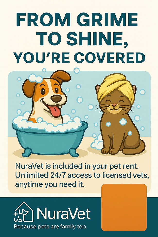 Winston Townhouses in Newport News, VA - Foto de edificio - Building Photo