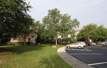 The Landings in Tampa, FL - Building Photo - Building Photo
