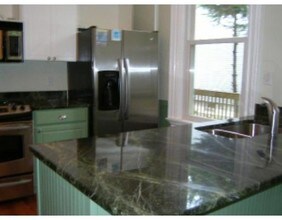 75 Alleghany St in Boston, MA - Building Photo - Building Photo