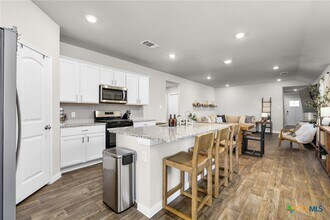 155 Globe Mallow Cir in Kyle, TX - Building Photo - Building Photo