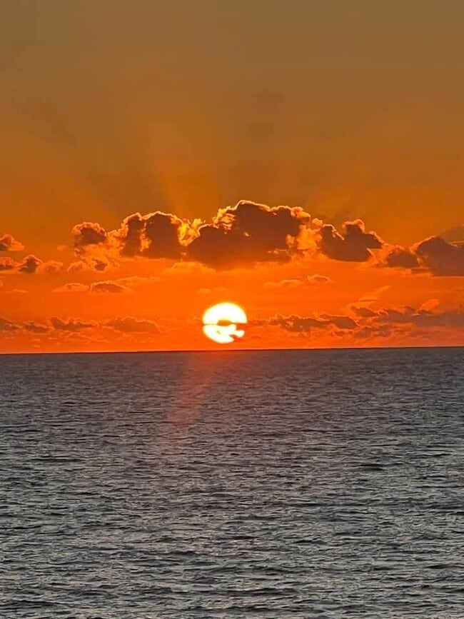 property at 1161 Hillsboro Mile