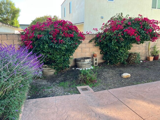 131 Montecito Ave in Pismo Beach, CA - Building Photo - Building Photo