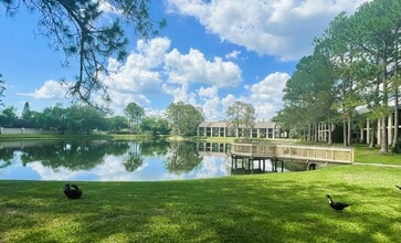 Palencia in Tampa, FL - Foto de edificio - Building Photo