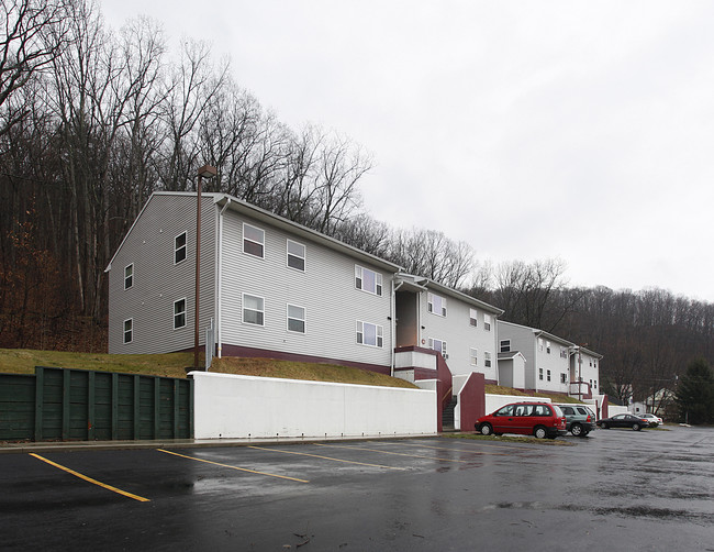 7-9 Lewis Ave in Oneonta, NY - Building Photo - Building Photo