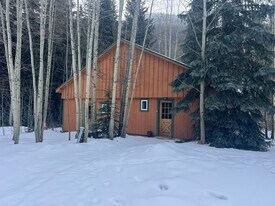 224 E Bakerville Rd in Silver Plume, CO - Building Photo