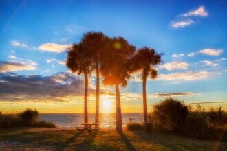 6327 S Renellie Ct in Tampa, FL - Building Photo - Building Photo