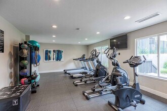 Sofi Belmar in Lakewood, CO - Building Photo - Building Photo