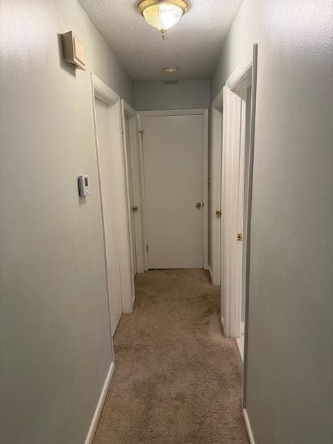 property at 9710 Willowwood Way