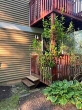 6 Rose Ln in Danbury, CT - Building Photo - Building Photo