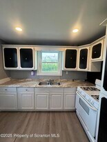 1021 Wheeler Ave in Scranton, PA - Building Photo