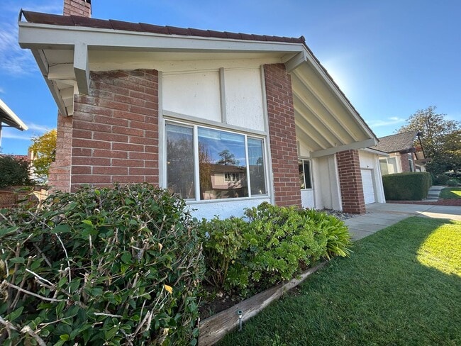 4407 Red Maple Ct in Concord, CA - Building Photo - Building Photo