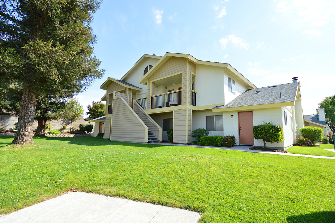 Panorama Pines Apartments in Bakersfield, CA - Foto de edificio