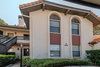 2640 Enterprise Rd E in Clearwater, FL - Building Photo - Building Photo