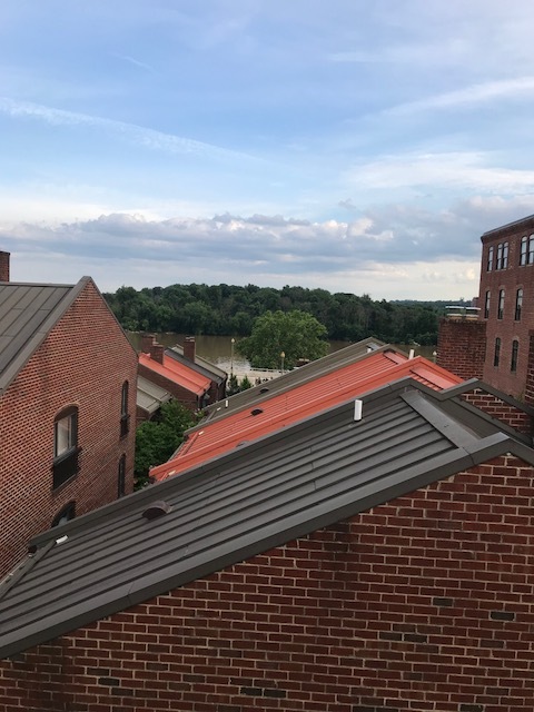 1059 Paper Mill Ct NW, Unit 1 in Washington, DC - Building Photo