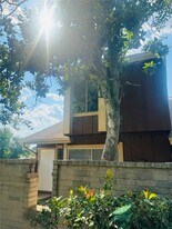 12509 Newbrook Dr in Houston, TX - Building Photo