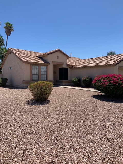 575 S Newport St in Chandler, AZ - Building Photo - Building Photo