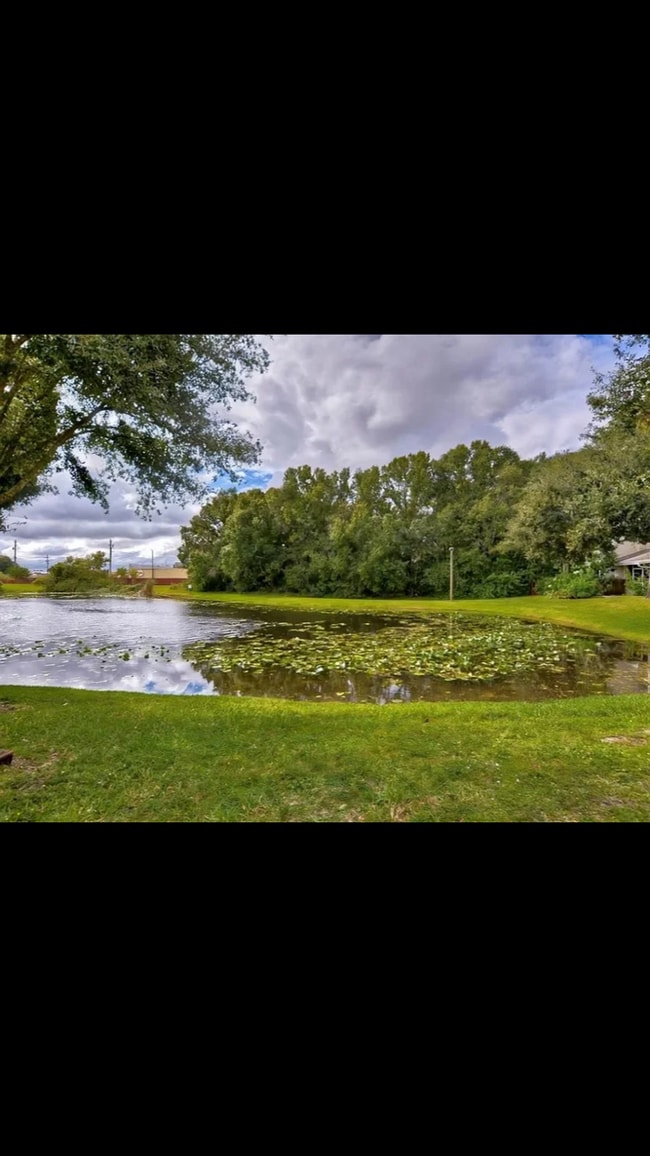 7618 Colonial Ct in Tampa, FL - Building Photo - Building Photo