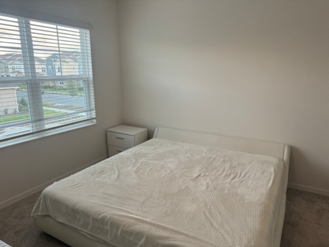 7399 Mezzano Ln in Oakland, FL - Building Photo - Building Photo