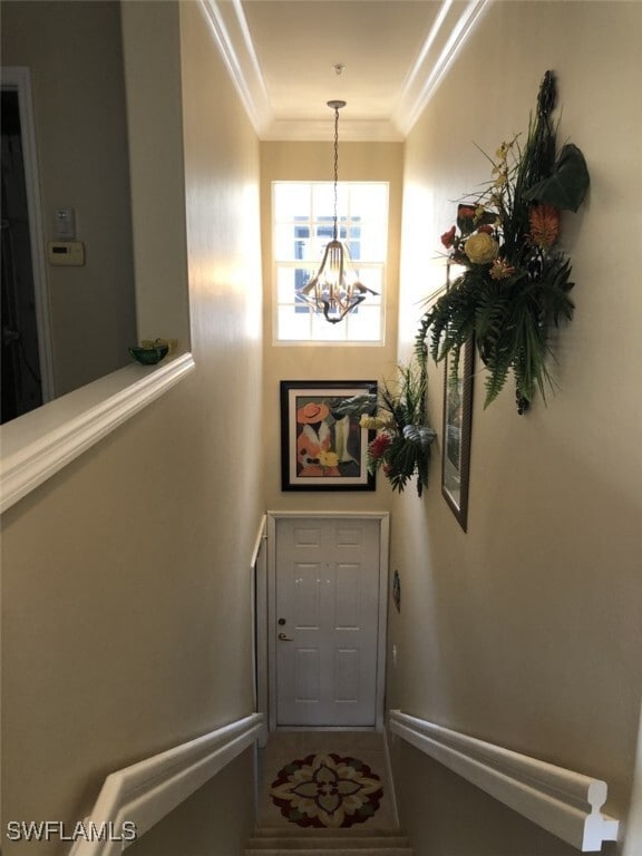 1380 Tiffany Ln in Naples, FL - Building Photo - Building Photo